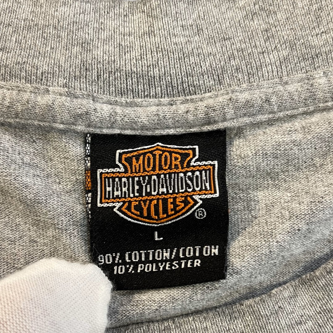 【HARLEYDAVIDSON】ハーレダビッドソン Tシャツ(2001コピーライト)L