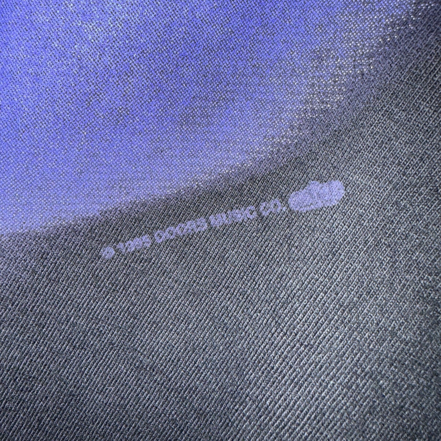 【THE DOORS】ドアーズ JIM MORRISON ジムモリソン "LIZARD KING"  1995コピーライト USAタグ 90's Vintage Tシャツ