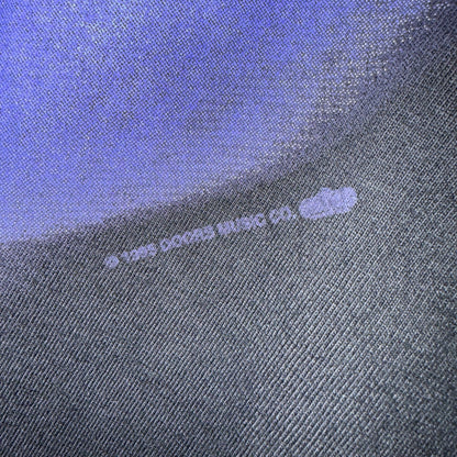 【THE DOORS】ドアーズ JIM MORRISON ジムモリソン "LIZARD KING"  1995コピーライト USAタグ 90's Vintage Tシャツ
