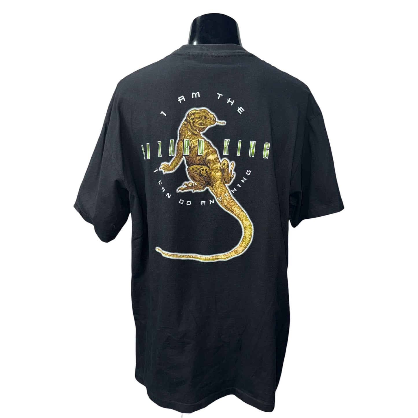 【THE DOORS】ドアーズ JIM MORRISON ジムモリソン "LIZARD KING"  1995コピーライト USAタグ 90's Vintage Tシャツ