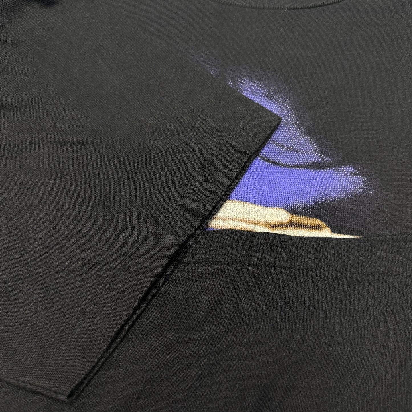 【THE DOORS】ドアーズ JIM MORRISON ジムモリソン "LIZARD KING"  1995コピーライト USAタグ 90's Vintage Tシャツ
