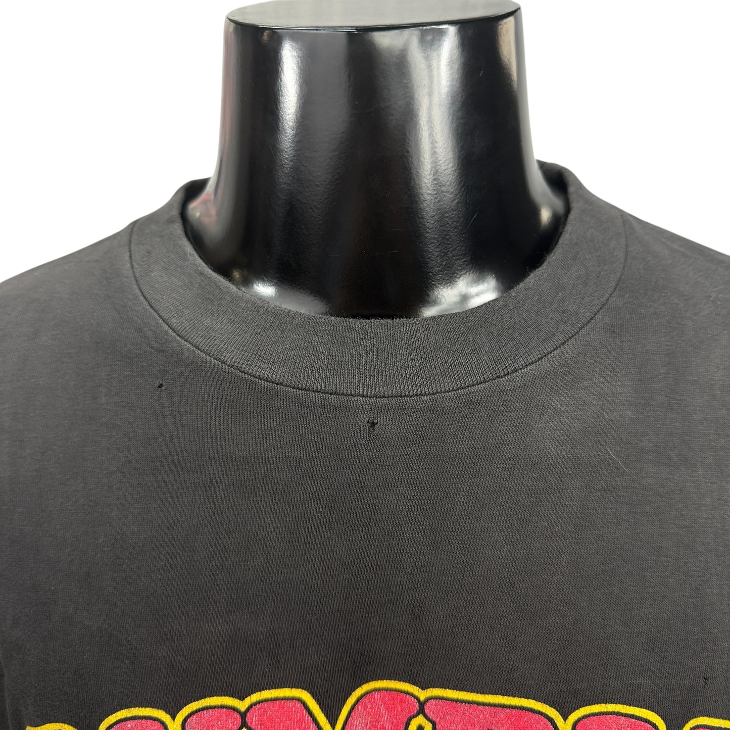 【TYSON vs LEWIS】タイソン vs ルイス "RUMBLE ON THE RIVER" 00's Y2K Vintage Tシャツ