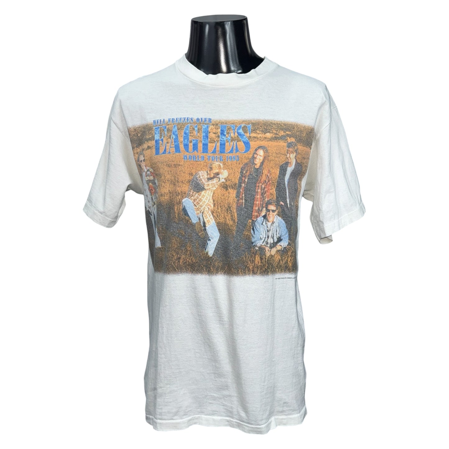 【EAGLES】イーグルス “HELL FREEZES OVER WORLD TOUR 1995”  90's Vintage Tシャツ