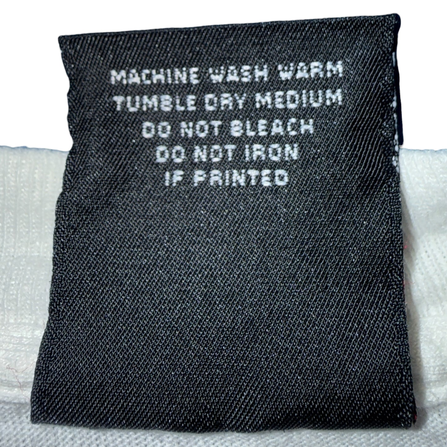 【EAGLES】イーグルス “HELL FREEZES OVER WORLD TOUR 1995”  90's Vintage Tシャツ