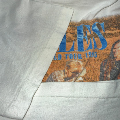 【EAGLES】イーグルス “HELL FREEZES OVER WORLD TOUR 1995”  90's Vintage Tシャツ