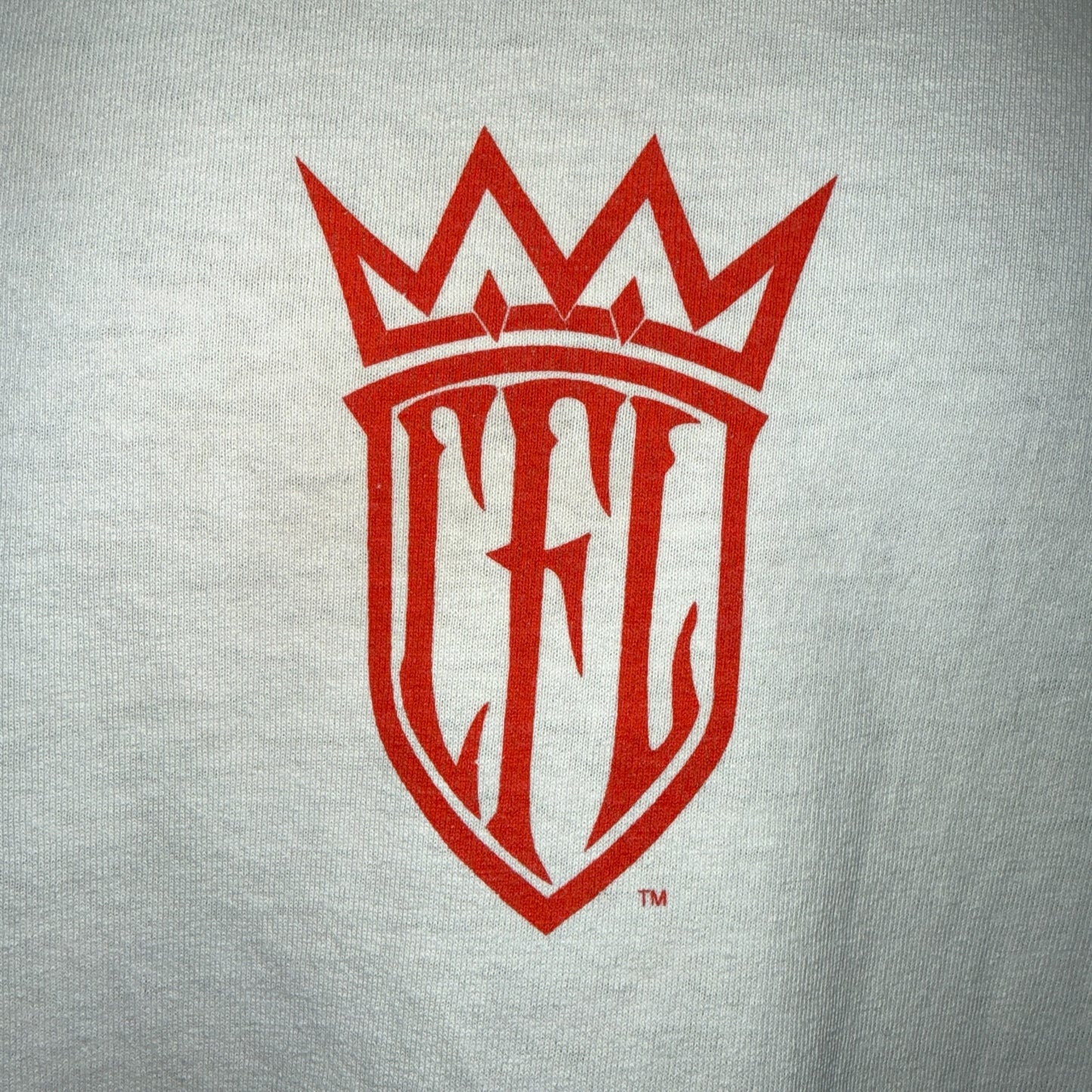 【WEST COAST CHOPPERS】ウエストコーストチョッパーズ SKULL FLAME ロングスリーブ Tシャツ