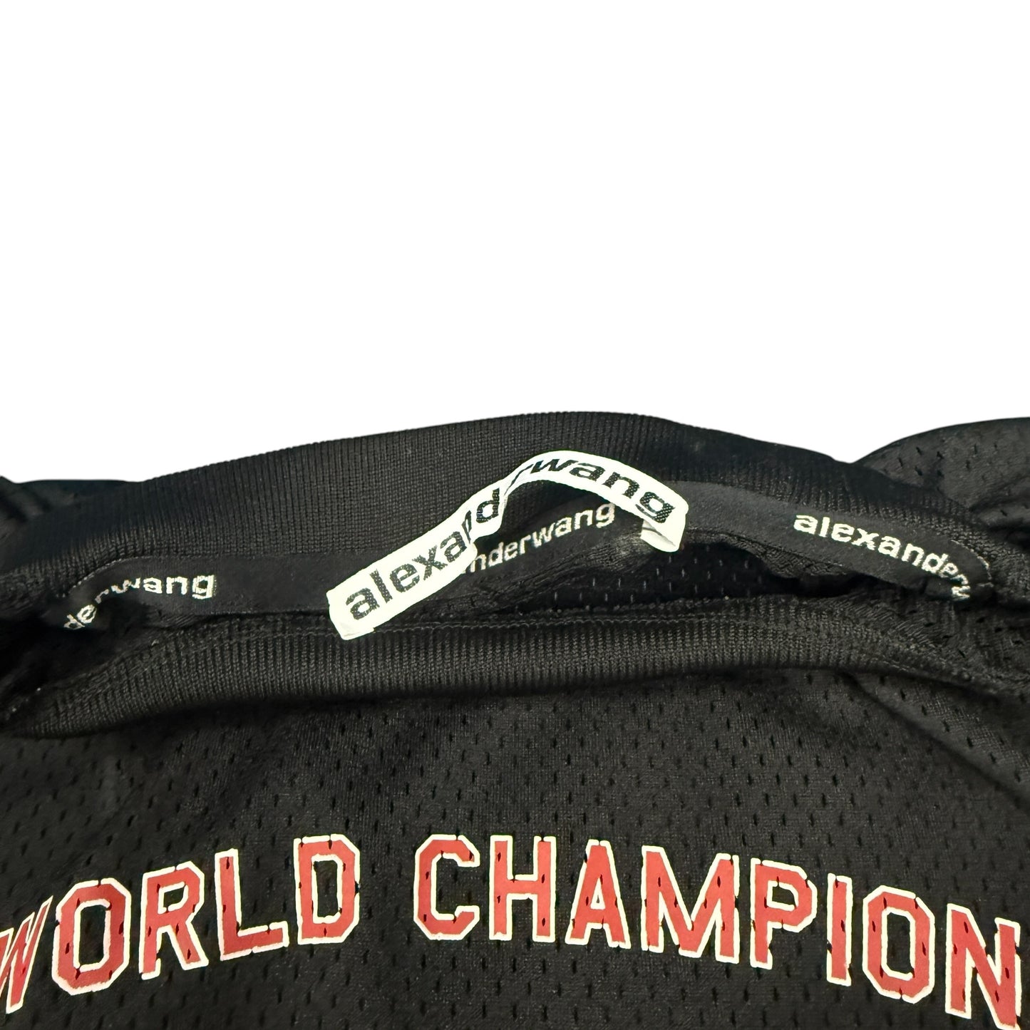 【ALEXANDER WANG】アレキサンダーワン "WORLD CHAMPIONS" 19AW メッシュロングスリーブTシャツ