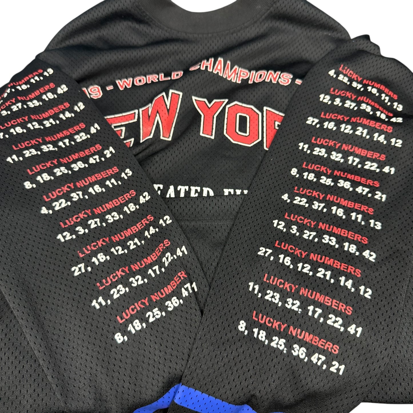 【ALEXANDER WANG】アレキサンダーワン "WORLD CHAMPIONS" 19AW メッシュロングスリーブTシャツ