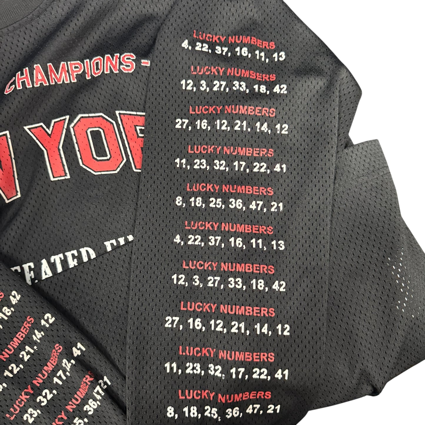 【ALEXANDER WANG】アレキサンダーワン "WORLD CHAMPIONS" 19AW メッシュロングスリーブTシャツ