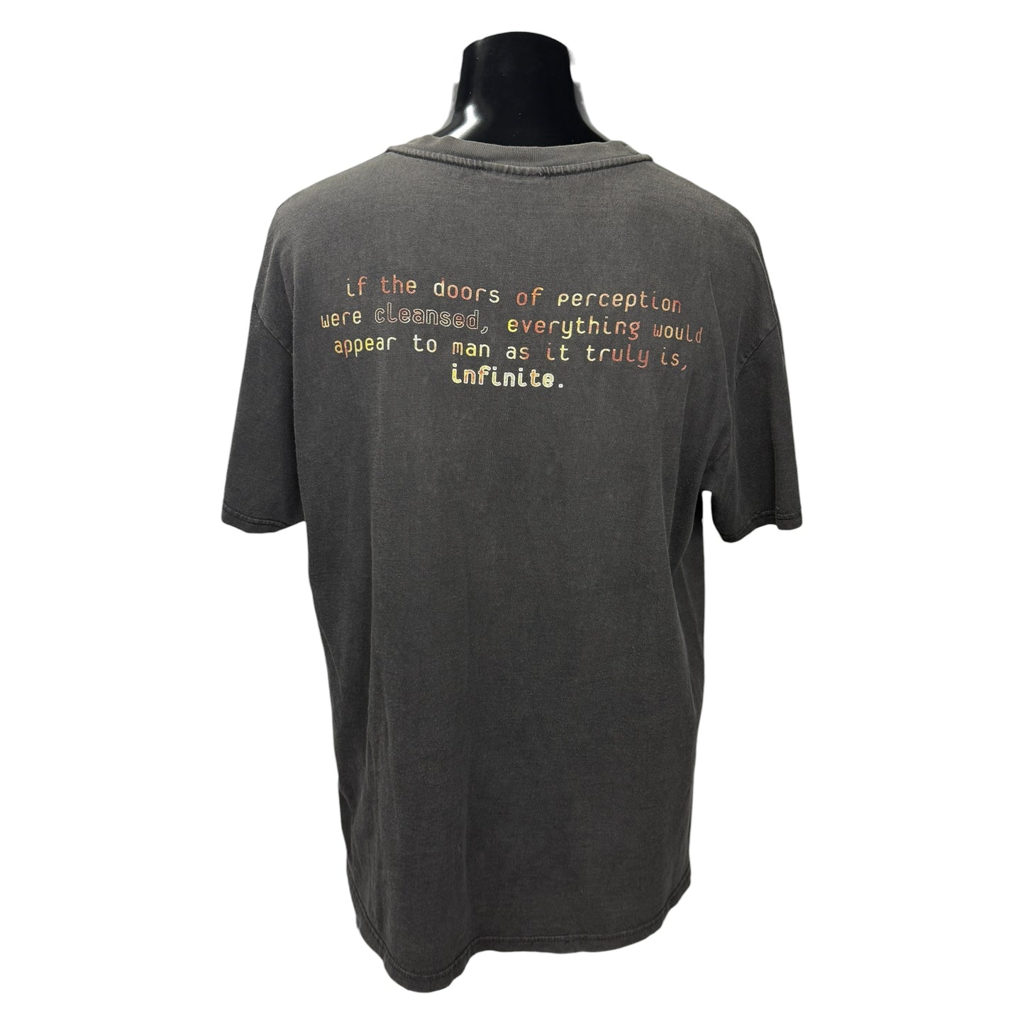 【THE DOORS】ザ・ドアーズ 90's Vintage Tシャツ Winterland