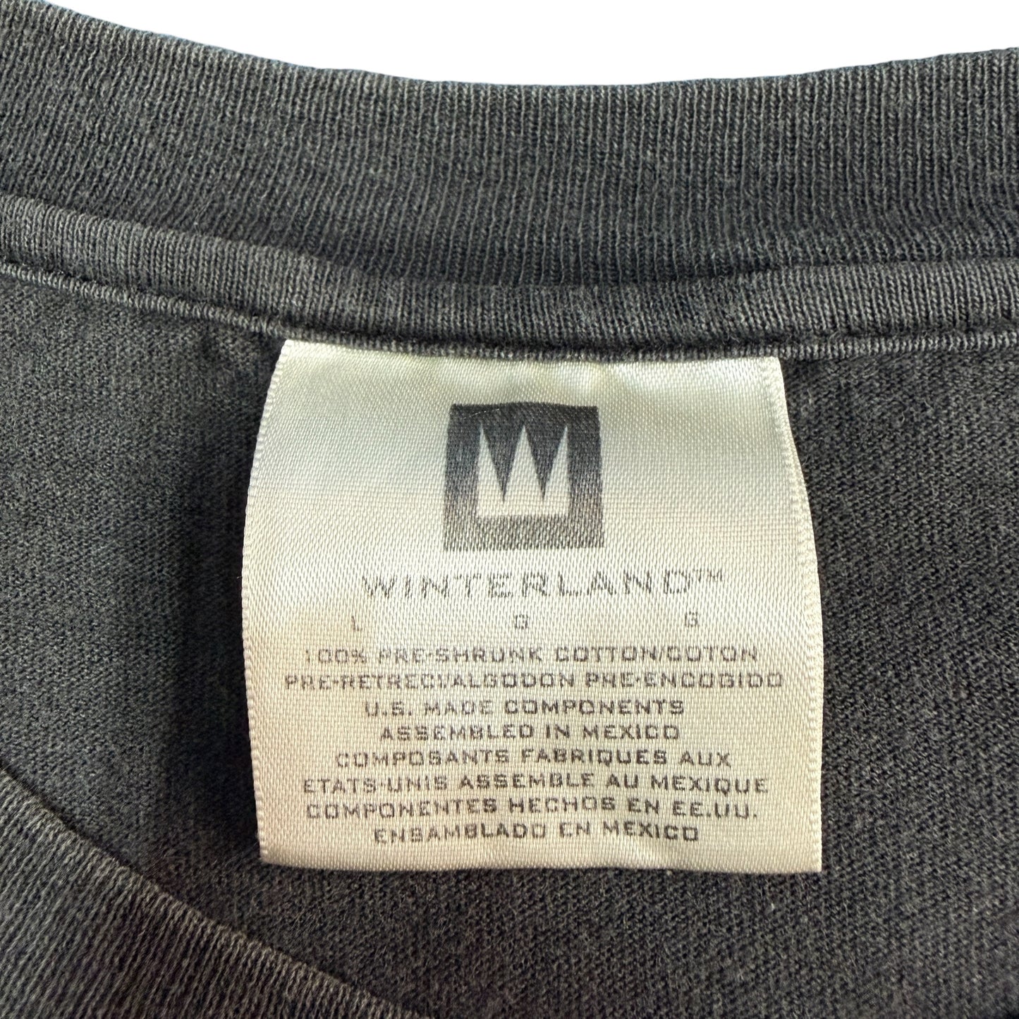 【THE DOORS】ザ・ドアーズ 90's Vintage Tシャツ Winterland