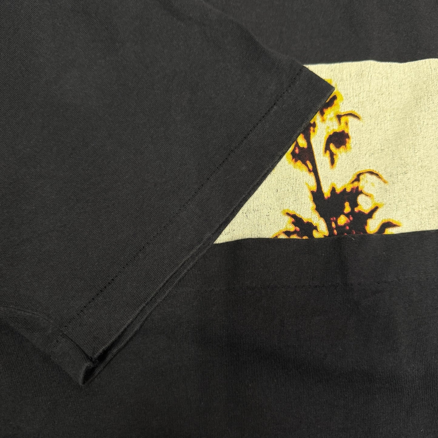 【EAGLES】イーグルス "HOTEL CALIFORNIA / HELL FREEZES OVER" 90's Vintage Tシャツ