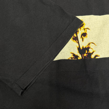 【EAGLES】イーグルス "HOTEL CALIFORNIA / HELL FREEZES OVER" 90's Vintage Tシャツ