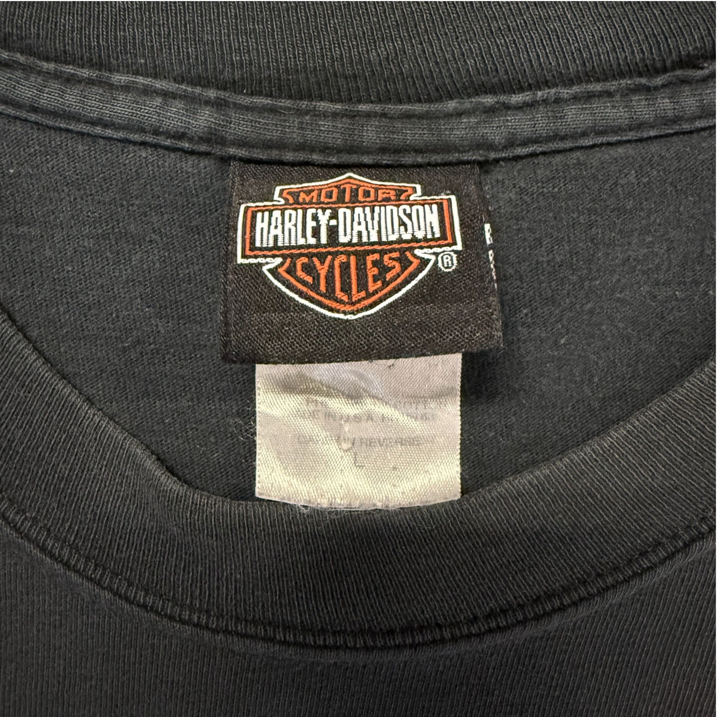 【HARLEY DAVIDSON× Looney Tunes】ハーレーダビットソン ×   ルーニー・テューンズ　ロングTシャツ L