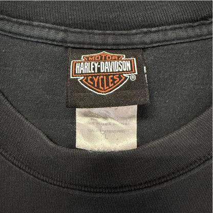 【HARLEY DAVIDSON× Looney Tunes】ハーレーダビットソン ×   ルーニー・テューンズ　ロングTシャツ L