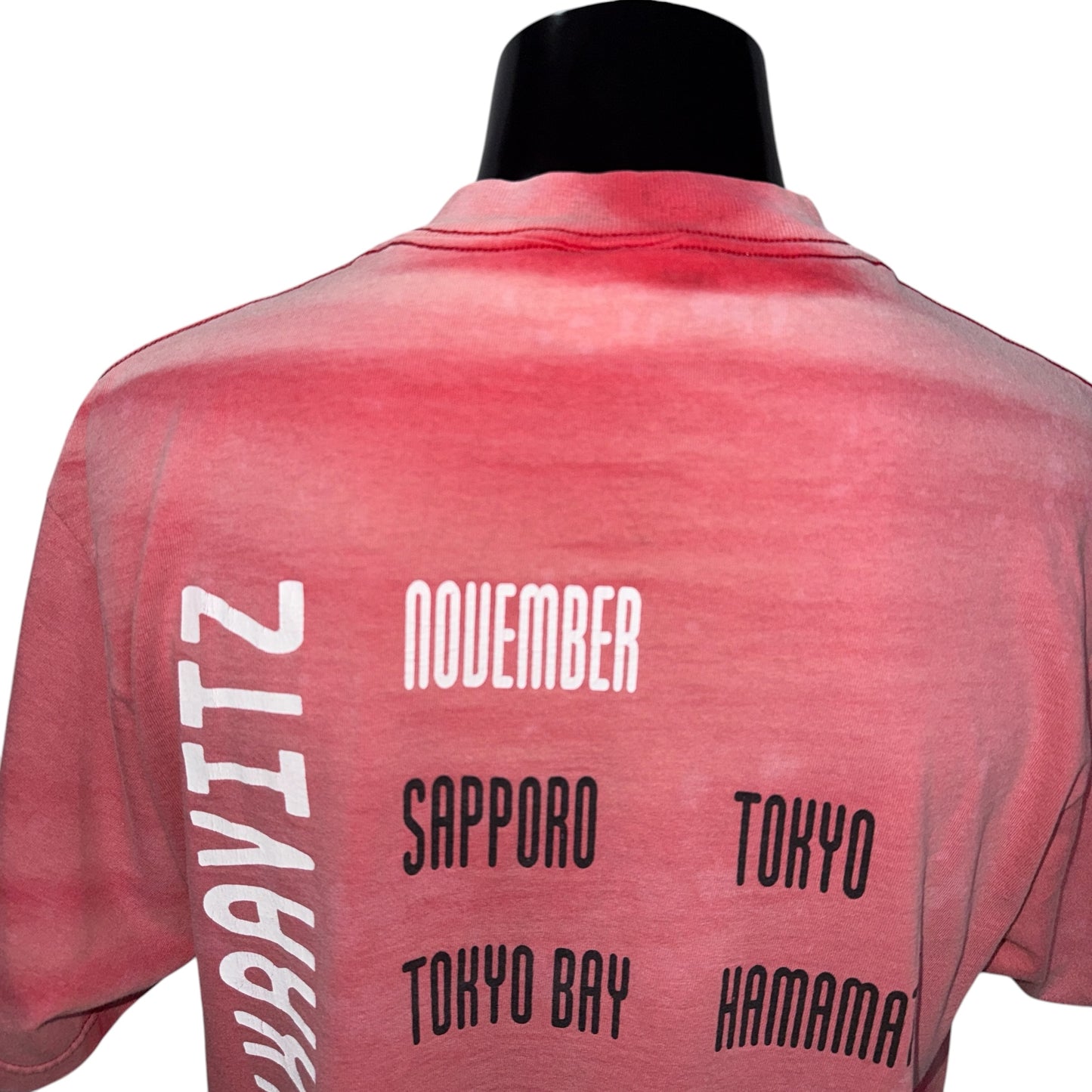 【LENNY KRAVITZ】レニー・クラヴィッツ "CIRCUS JAPAN TOUR" 90's Vintage Tシャツ