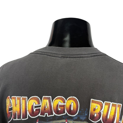 【CHICAGO BULLS】シカゴ・ブルズ "1997 NBA CHAMPIONS" 90's Rap Tシャツ