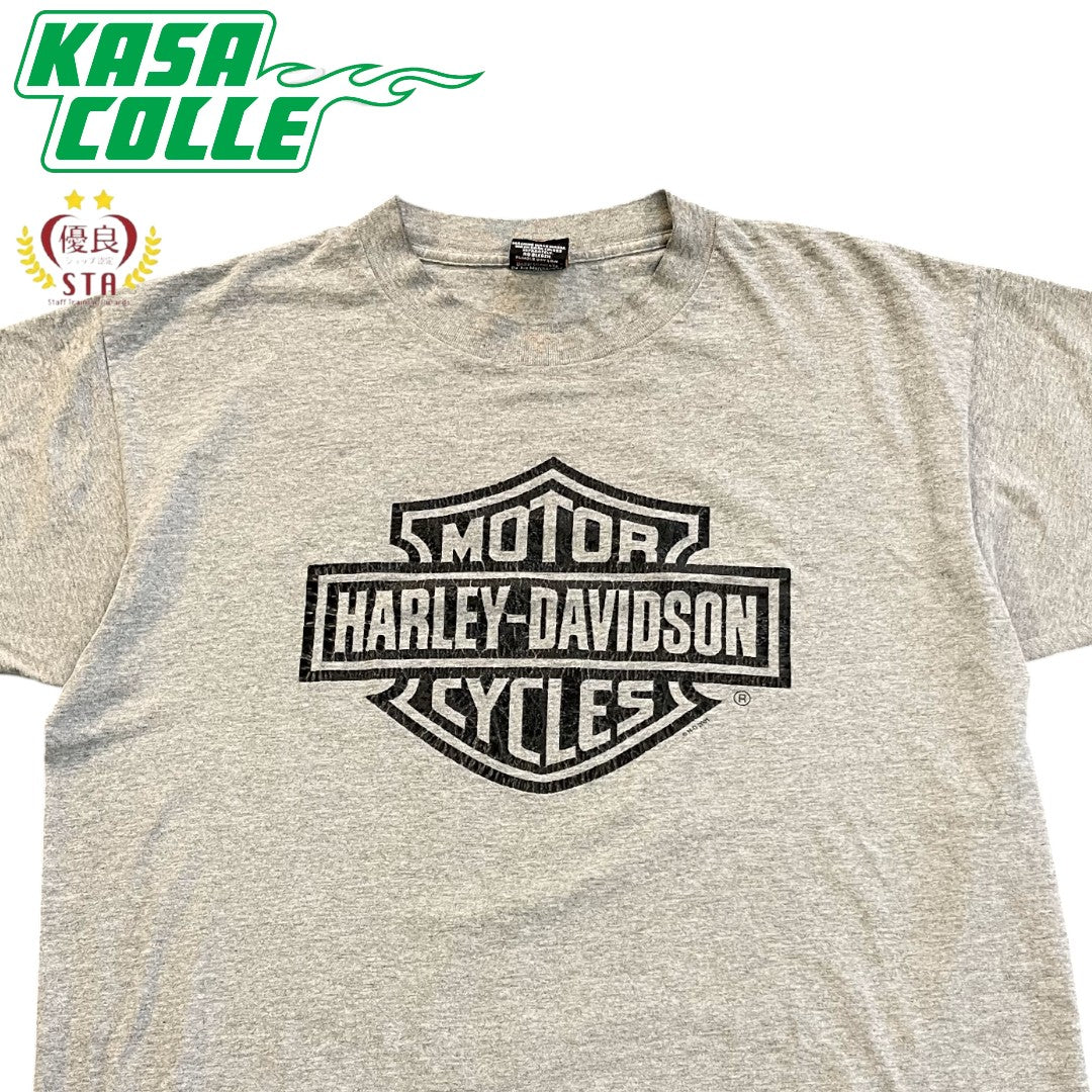 【HARLEYDAVIDSON】ハーレダビッドソン Tシャツ（2001コピーライト）L
