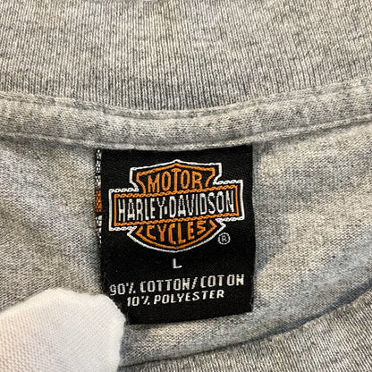 【HARLEYDAVIDSON】ハーレダビッドソン Tシャツ（2001コピーライト）L