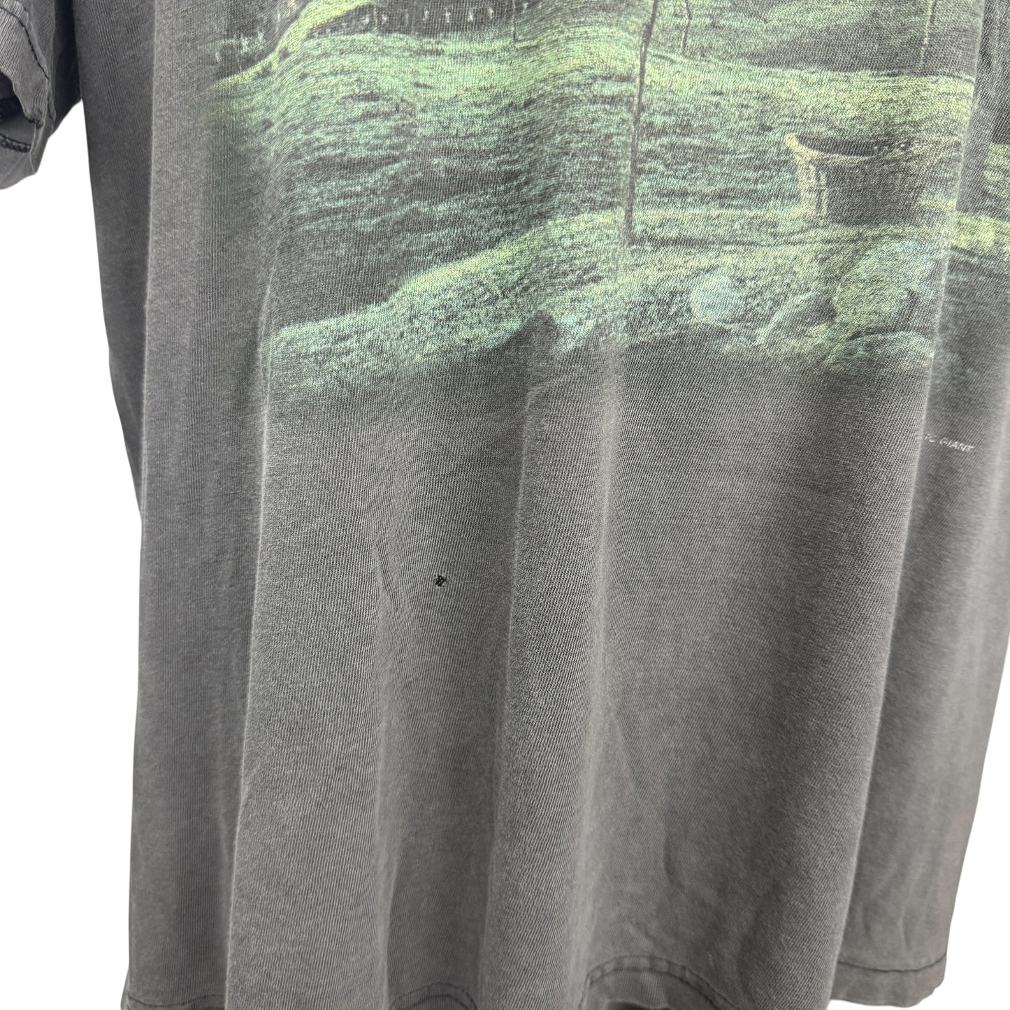 【MEGADETH】メガデス "HUNG OUT TO DRY" 90's Vintage Tシャツ