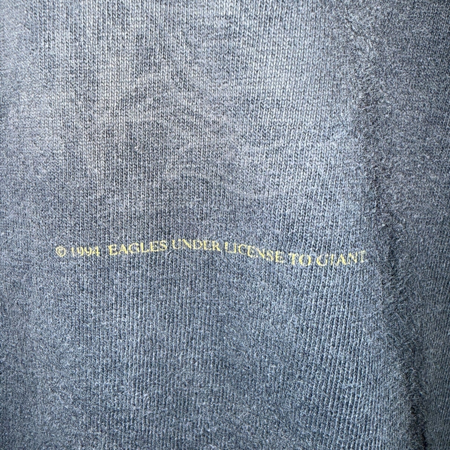 【EAGLES】イーグルス "HELL FREEZES OVER WORLD TOUR 96" giantタグ 90's Vintage Tシャツ