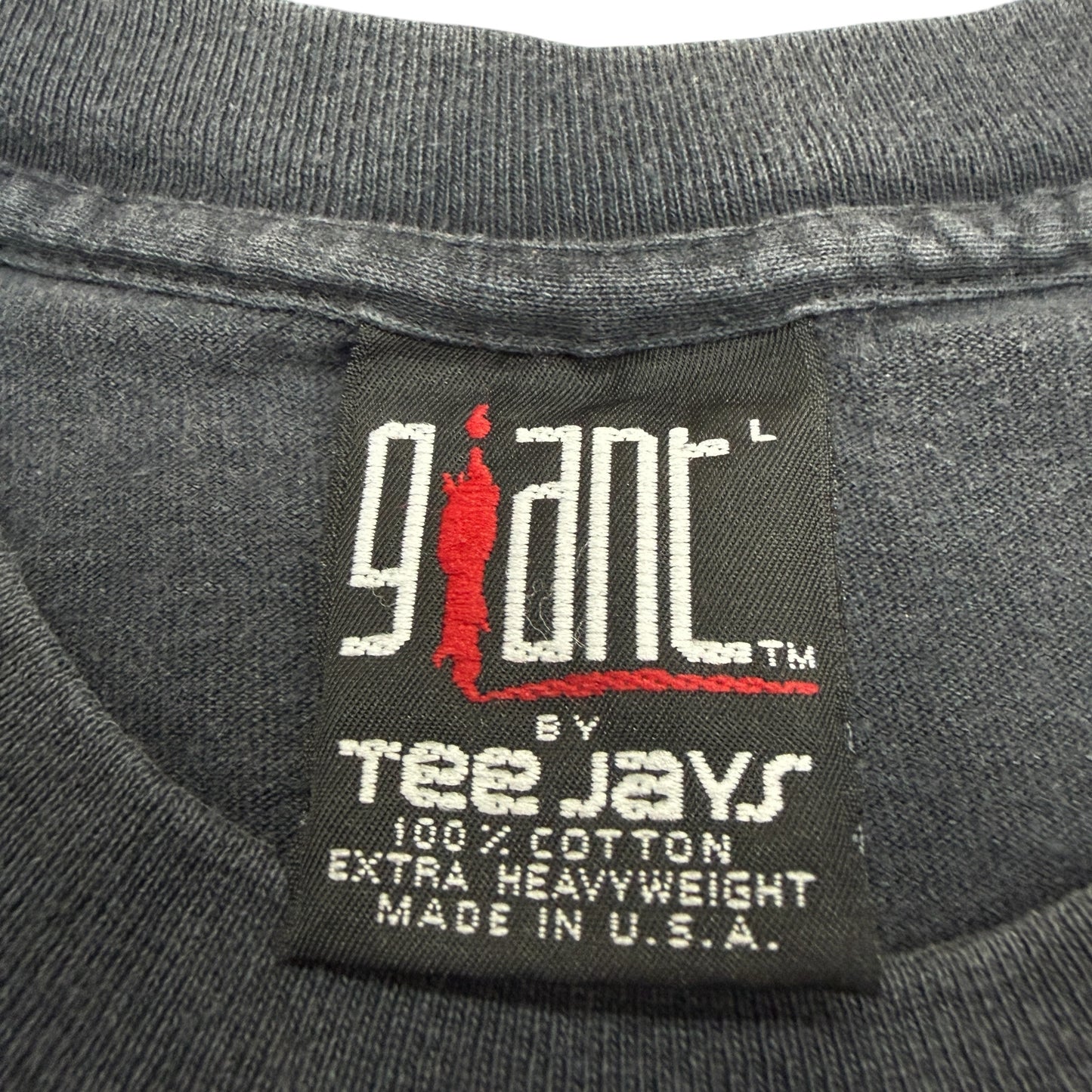 【EAGLES】イーグルス "HELL FREEZES OVER WORLD TOUR 96" giantタグ 90's Vintage Tシャツ