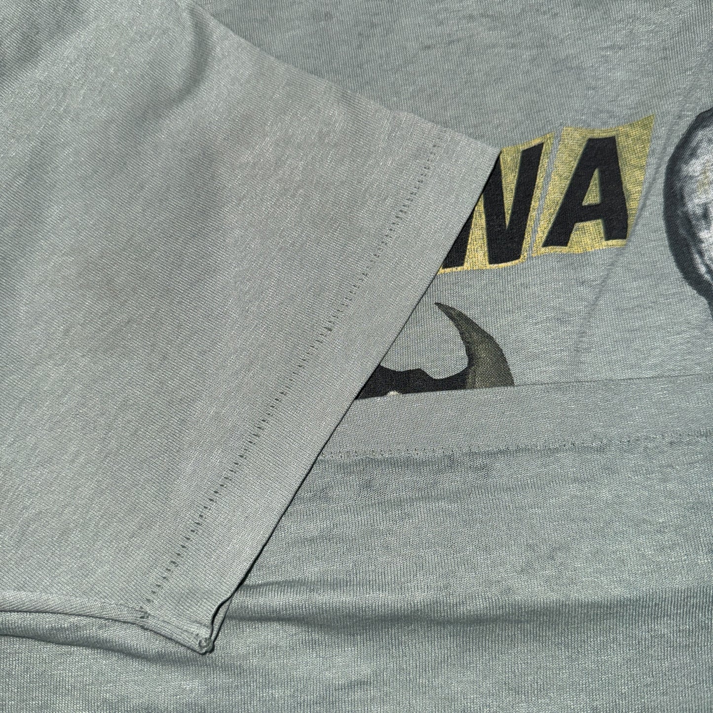 【NIRVANA】ニルヴァーナ INCESTICIDE 90's Vintage Tシャツ