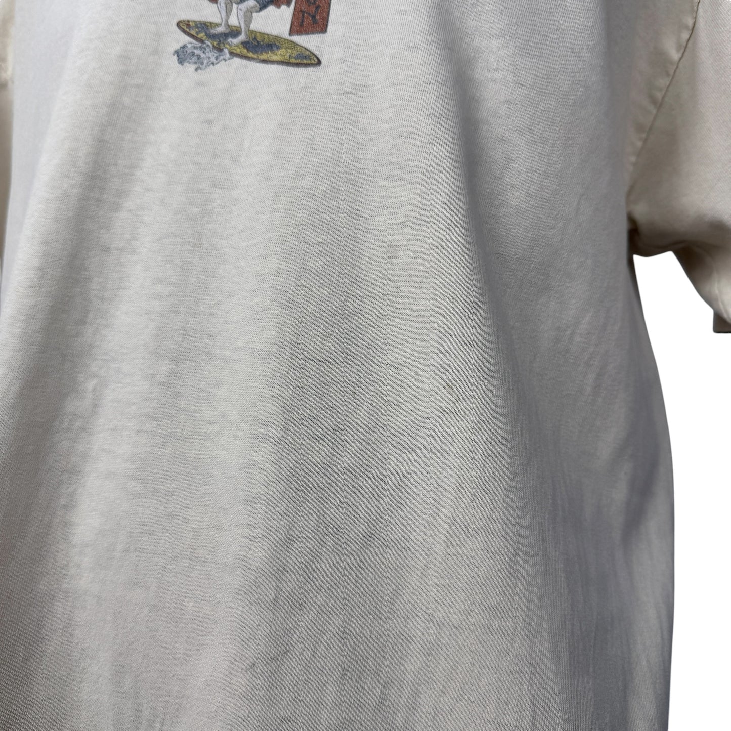 【RON JON】ロンジョンサーフショップ "浮世絵モチーフ" Vintage Tシャツ