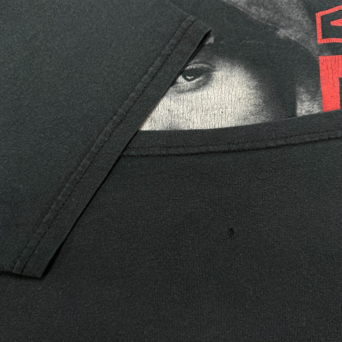 【EMINEM】エミネム "THE EMINEM SHOW" 00's Vintage Tシャツ