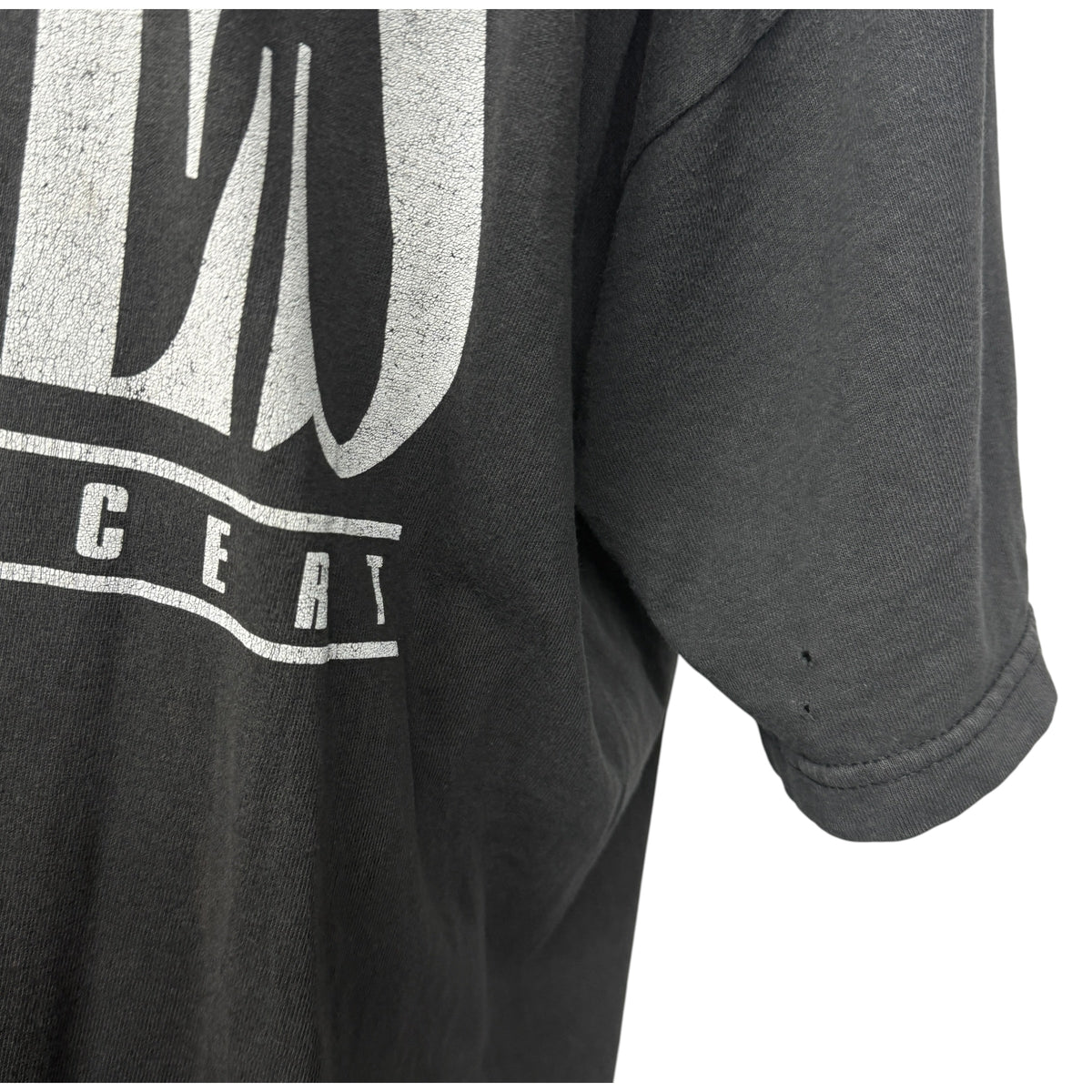 【EAGLES】イーグルス "LIVE IN CONCERT TOUR" 90's〜00's Vintage Tシャツ