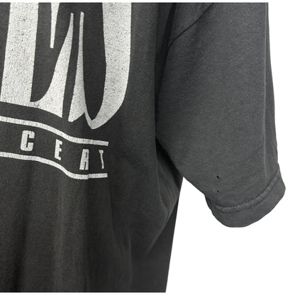 【EAGLES】イーグルス "LIVE IN CONCERT TOUR" 90's〜00's Vintage Tシャツ