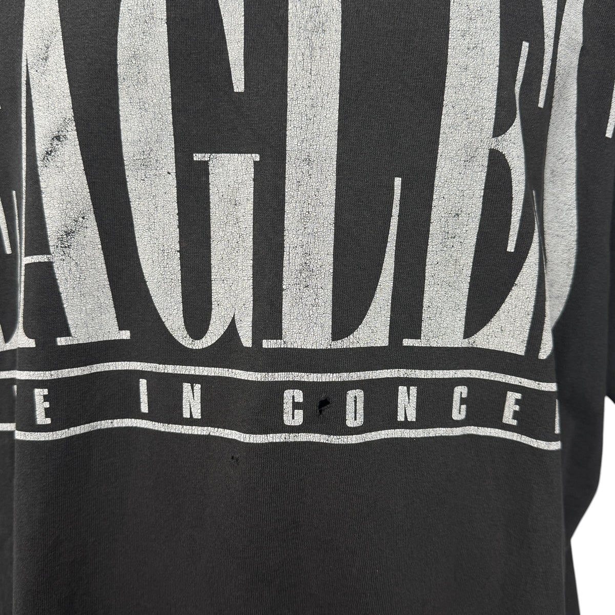 【EAGLES】イーグルス "LIVE IN CONCERT TOUR" 90's〜00's Vintage Tシャツ
