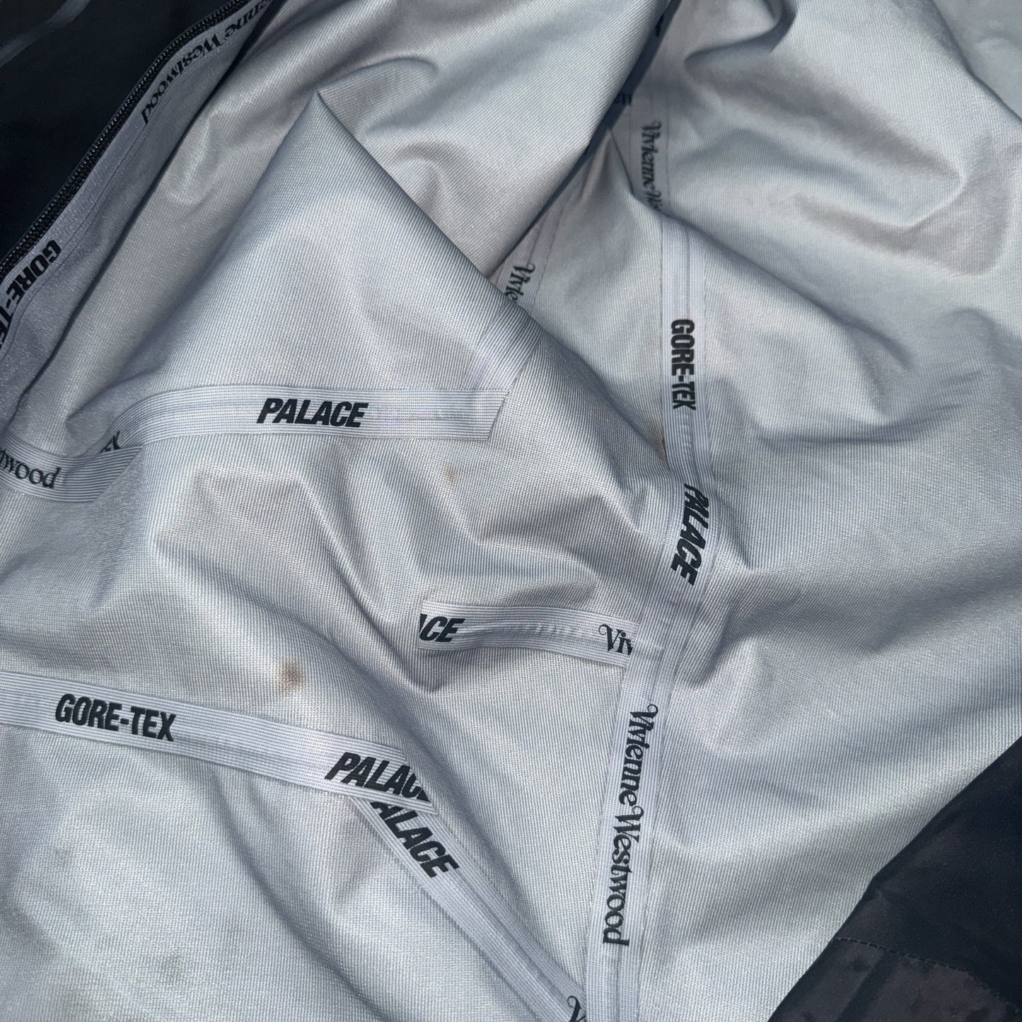 【Palace × Vivienne Westwood】パレス × ヴィヴィアン・ウエストウッド GORE-TEX カーゴパンツ 総柄