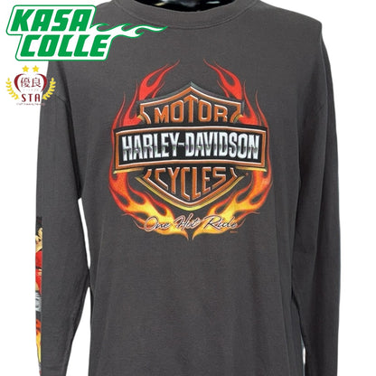 [HARLEY DAVIDSON] Harley-Davidson One Hot Ride 2009 Copyright Long Sleeve T-Shirt, Size L