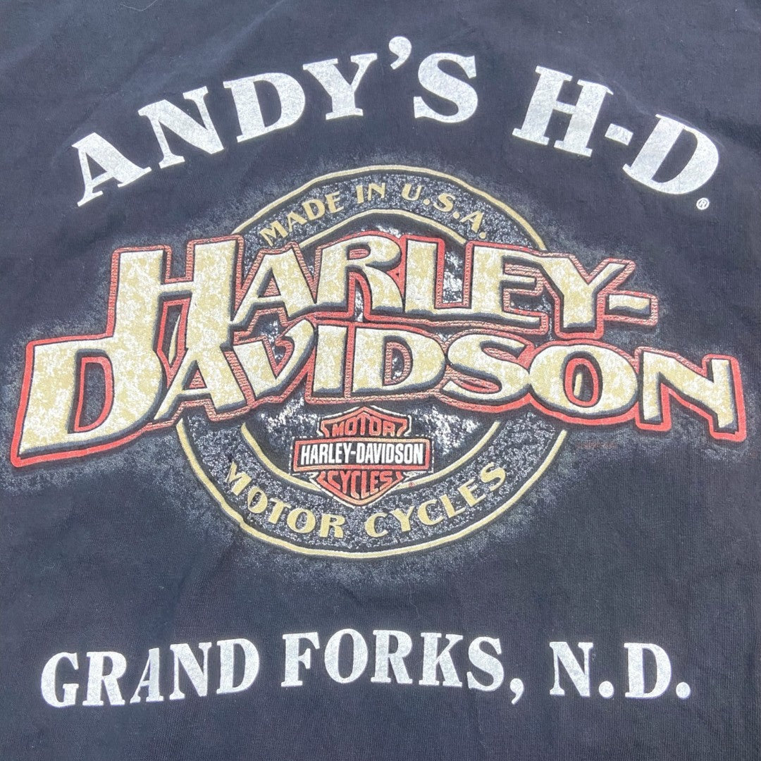 【Harley-Davidson】ハーレーダビッドソン 90's Vintage Tシャツ ”Flame Pattern” L相当