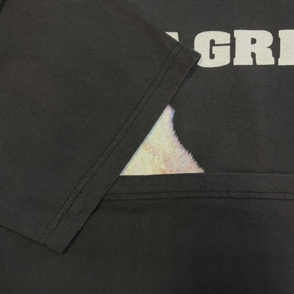 【AERO SMITH】エアロスミス “Get A Grip” ツアーTシャツ 90s バンドTシャツ L.XL相当