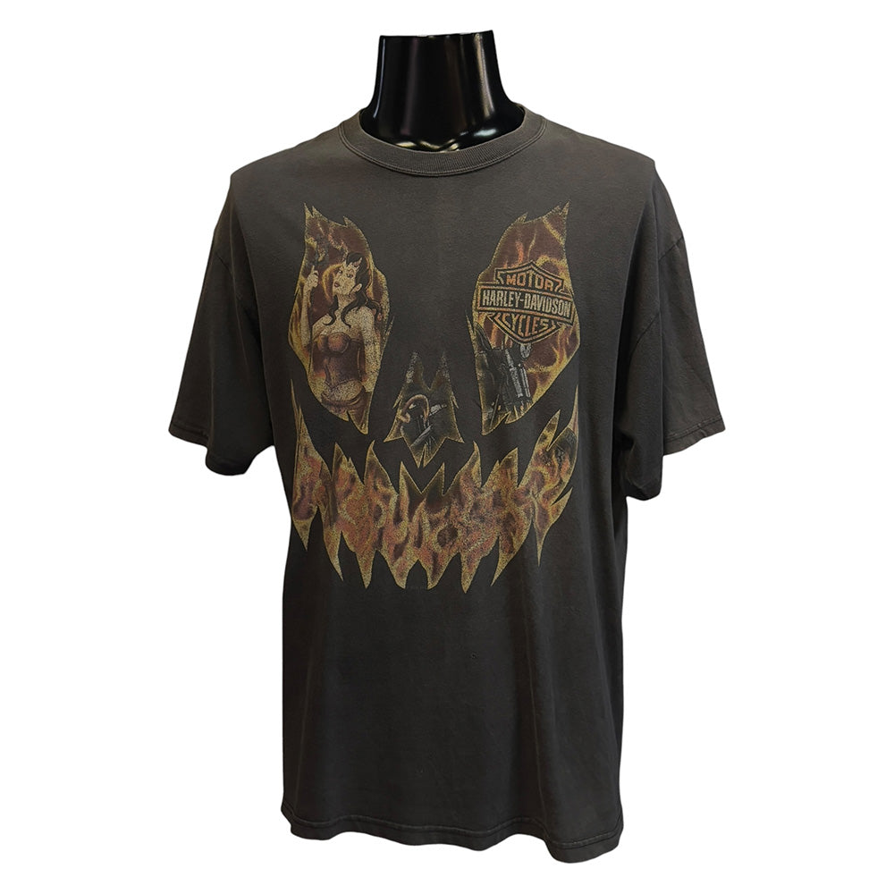 [HARLEY DAVIDSON] Harley Davidson Hanes Body T-shirt (Size L)