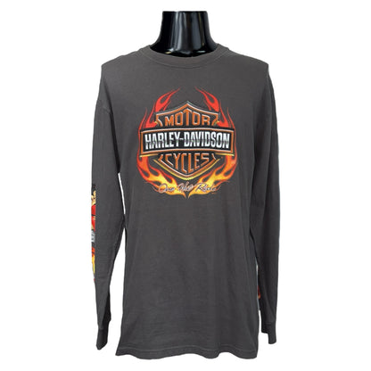 [HARLEY DAVIDSON] Harley-Davidson One Hot Ride 2009 Copyright Long Sleeve T-Shirt, Size L