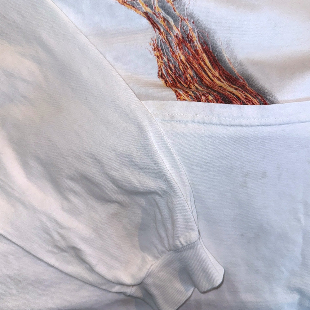 【NINE INCH NAILS】ナイン・インチ・ネイルズ ''1995 FURTHER DOWN THE SPIRAL'' 90's Vintage Tシャツ