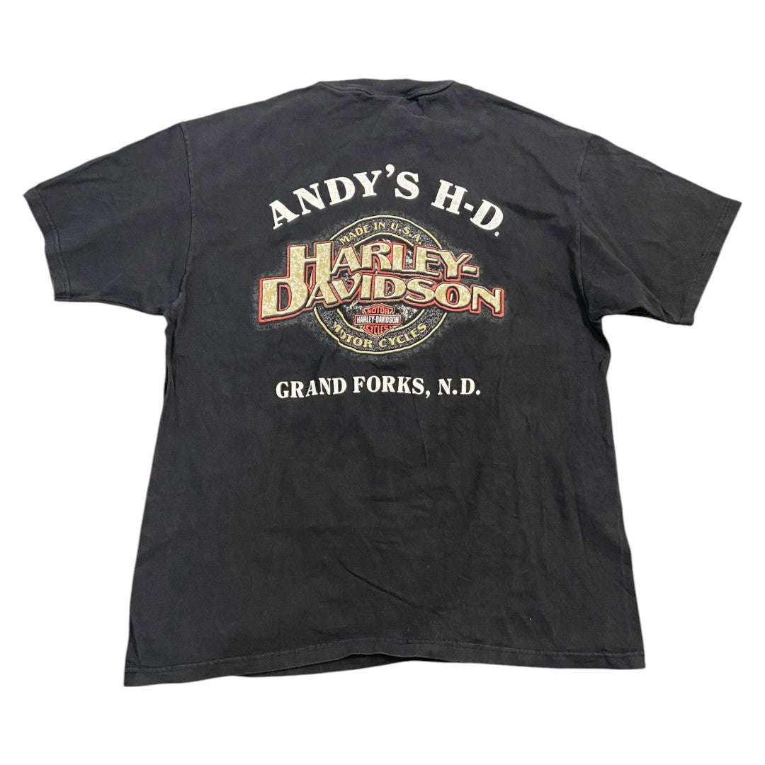 【Harley-Davidson】ハーレーダビッドソン 90's Vintage Tシャツ ”Flame Pattern” L相当