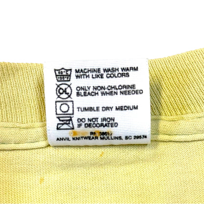 【NIRVANA】ニルヴァーナ INCESTICIDE Vintage Tシャツ XL