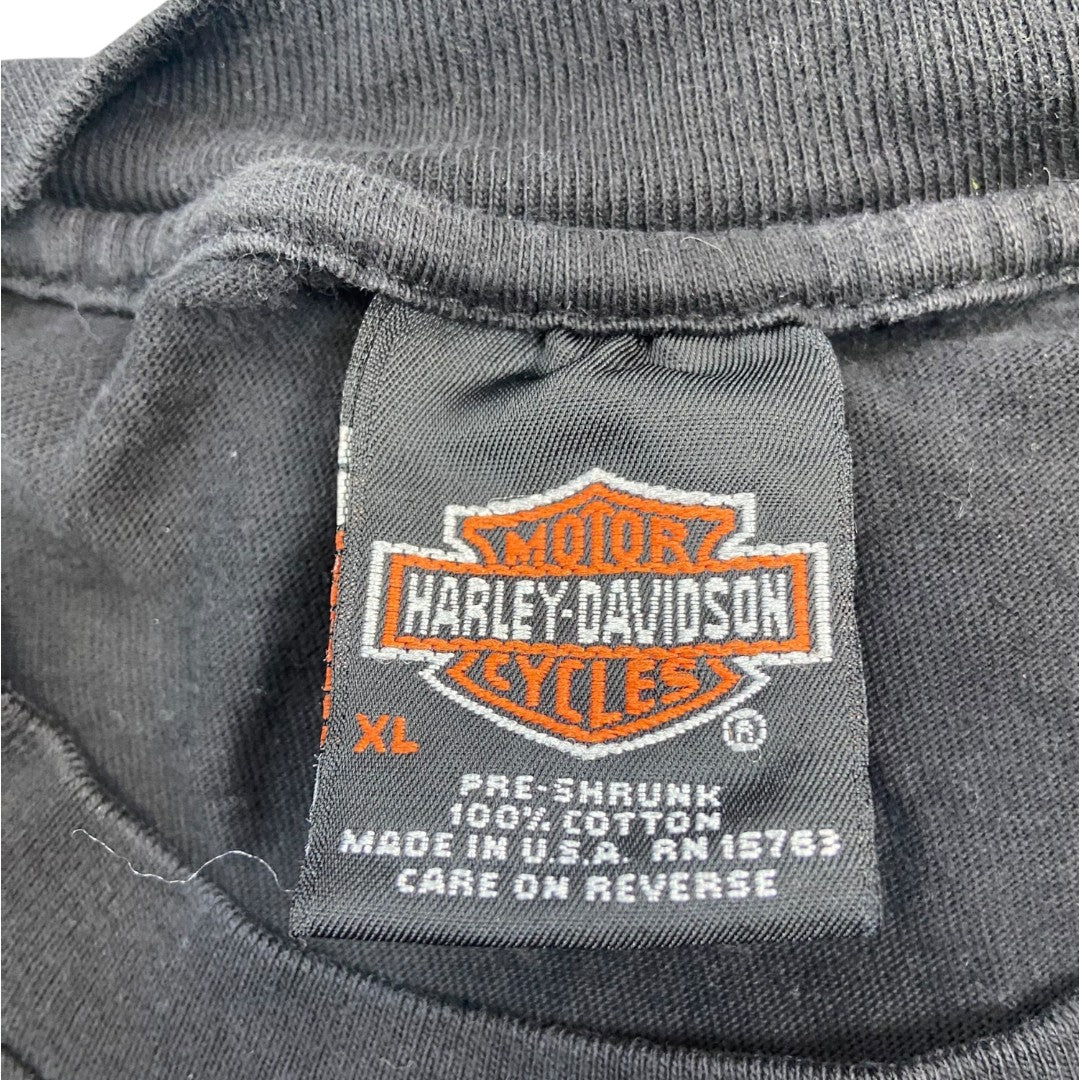 【Harley-Davidson】ハーレーダビッドソン 90's Vintage Tシャツ ”Flame Pattern” L相当