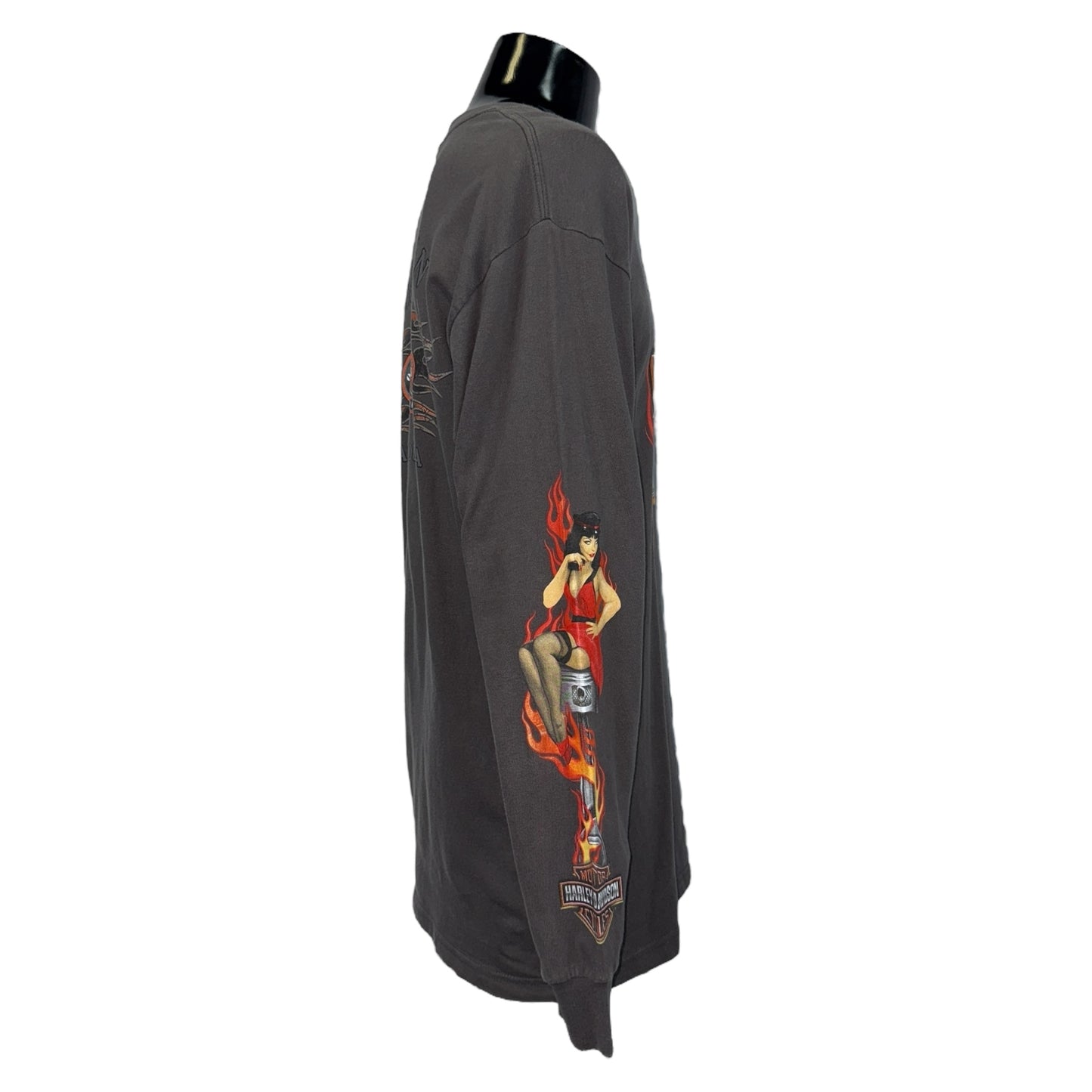 [HARLEY DAVIDSON] Harley-Davidson One Hot Ride 2009 Copyright Long Sleeve T-Shirt, Size L