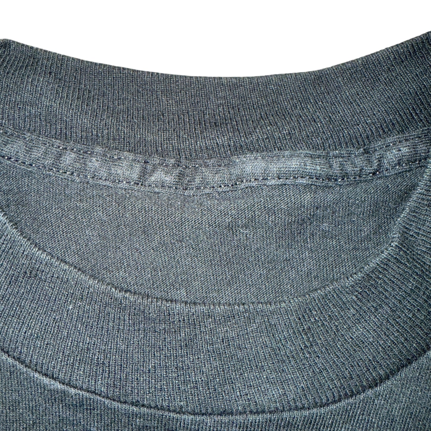 【THE JESUS LIZARD】ジーザス・リザード "BLUE WOLF"  vintage 90s Tシャツ