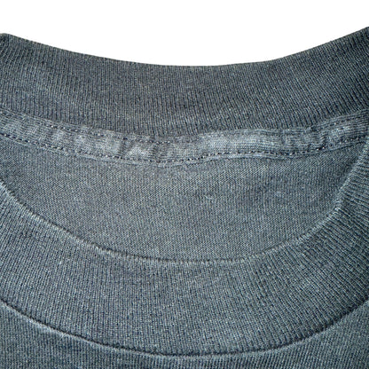 【THE JESUS LIZARD】ジーザス・リザード "BLUE WOLF"  vintage 90s Tシャツ