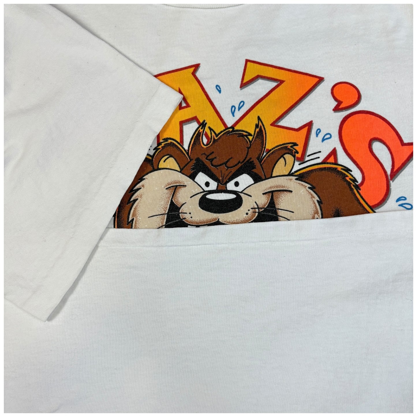 【LOONEY TUNES （TAZ'S GYM）】ルーニーテューンズ タズマニアンデビル Vintage Tシャツ XL