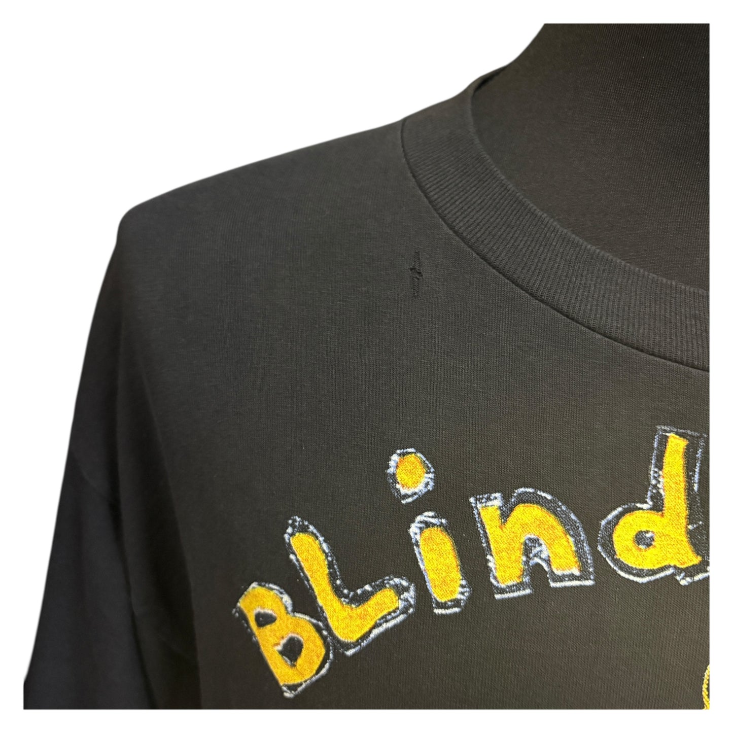 【BLIND MELON】ブラインドメロン "crammed in a van tour 92-93" 90's Vintage Tシャツ XL