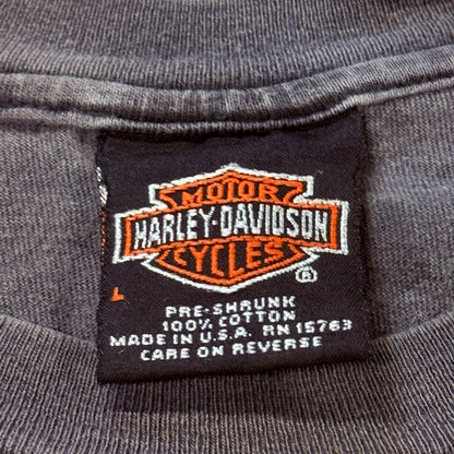 【HARLEY DAVIDSON】ハーレーダビットソン FLAME EAGLE SANTA CRUZ USA製 Tシャツ L