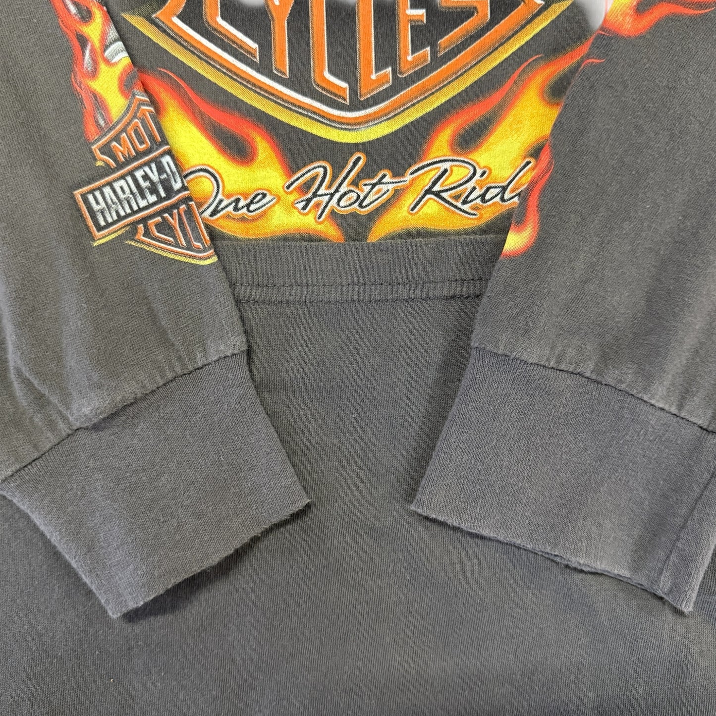 [HARLEY DAVIDSON] Harley-Davidson One Hot Ride 2009 Copyright Long Sleeve T-Shirt, Size L