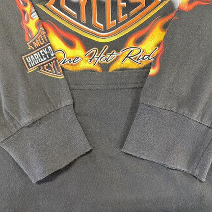 [HARLEY DAVIDSON] Harley-Davidson One Hot Ride 2009 Copyright Long Sleeve T-Shirt, Size L